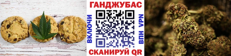 цены   Александровское  Canna-Cookies конопля 