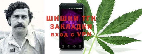 винт Алексин