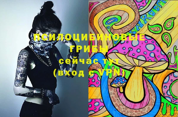 бутират Алзамай