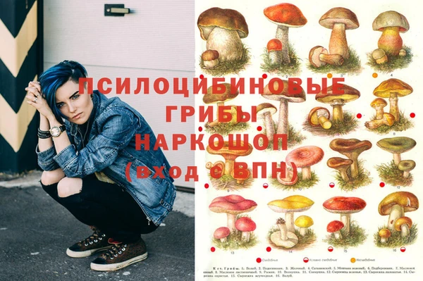 бутират Алзамай